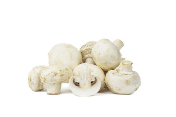 group of mushroom isolated on white background