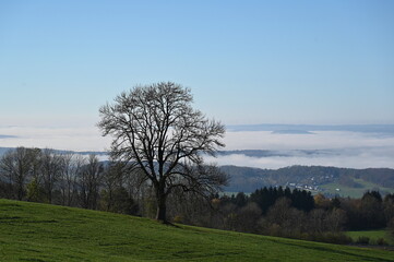 Rhoen bei Poppenhausen
