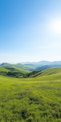 Obraz premium A beautiful, open field with a bright blue sky. The sun is shining brightly, making the grass look even greener. The scene is peaceful and serene