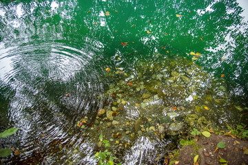 crystal clear lake with water of rich turquoise color. Fallen leaves of different colors float on the surface of the water, creating a contrast with the bright water. Autumn atmosphere and tranquility
