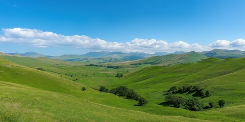 A large, open field with a clear blue sky. The grass is lush and green, and the landscape is dotted with trees. Concept of tranquility and peacefulness