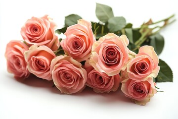Obraz premium Beautiful pink roses arranged gracefully with lush green leaves on a white background