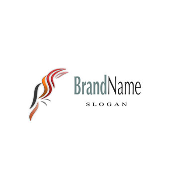 business logo design touchan bird