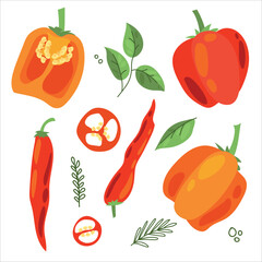Juicy pepper. Paprika. Hot chili pepper. Seasoning. Useful Vegetables. Harvest. Botanical illustration. Vector illustration