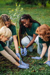 Volunteers planting a tree in a park