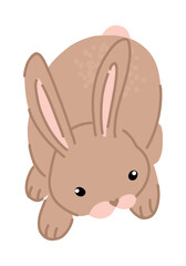 Cute rabbit clipart. Contemporary vector illustration of bunny pretty animal isolated on white.