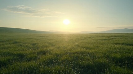 Serene Sunrise over Vast Green Field