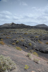Landschaft bei Mancha Blanca auf Lanzarote