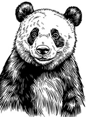 Minimalist Line Illustration, Panda in Monochrome Style, Background-Free Design, Editable Vector