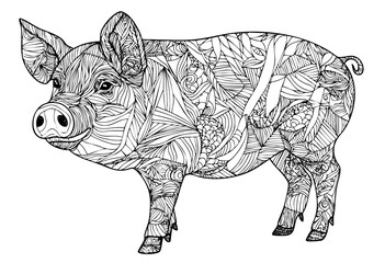 Minimalist Line Illustration, Pig in Monochrome Style, Background-Free Design, Editable Vector