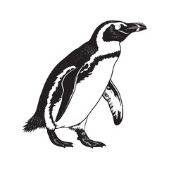 Penguin silhouette vector art illustration