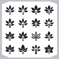 Comprehensive Set of Tree Leaf Logotype Icons Vector Illustration Silhouettes for Designers