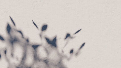 shadow overlay wall texture sunlight leaf shade abstract 3d render. shadows light nature plant leaves branch tree foliage design backdrop. wallpaper mockup background white effect minimal natural.