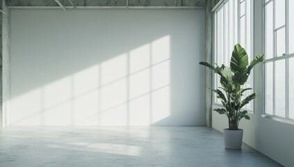 Obraz premium Minimalist Room with Sunlight and Plant