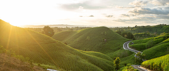 Winding Road Through Green Hills at Sunrise. Nature wallpaper 21:9