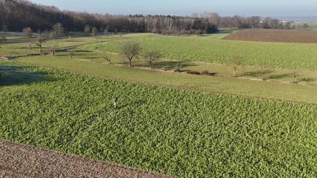 Landschaft bei Schlierbach