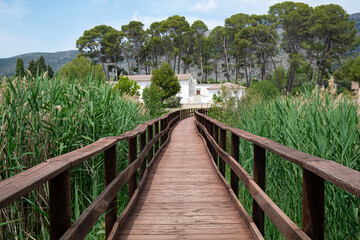 Wooden walkway on a wetland with white house