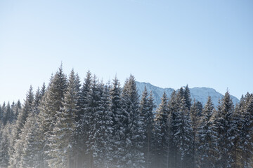 Snowy landscape overlooking the Alpine mountains. Ideal for adventure and travel.