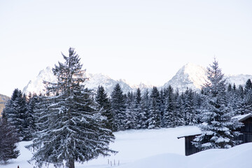 Snowy landscape overlooking the Alpine mountains.