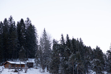 Snowy landscape overlooking the Alpine mountains.