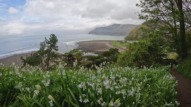 Lynmouth is a village in Devon, England, on the northern edge of Exmoor. The village straddles the confluence of the West Lyn and East Lyn rivers.
