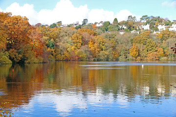 Lake in Decoy Country Park, Devon in Autumn