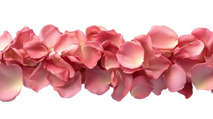 Obraz premium Backdrop of pink rose petals isolated on a transparent white background. Valentine's Day background