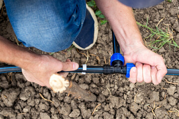 Fastening and connecting HDPE pipes with a fitting. A man installs an automatic drip irrigation...