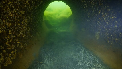 Scuba diving in the lake