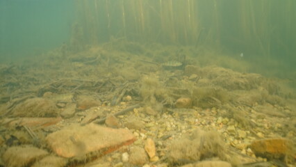 Scuba diving in the lake