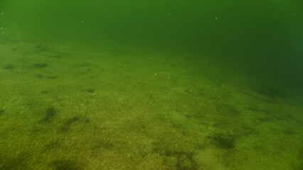 Scuba diving in the lake