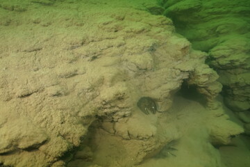 Scuba diving in the clay pit