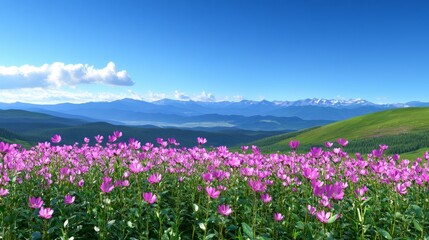 beautiful pink flowers close-up against the background of mountains