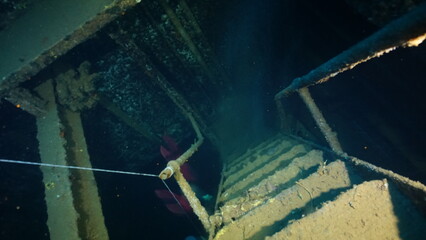 Scuba diving