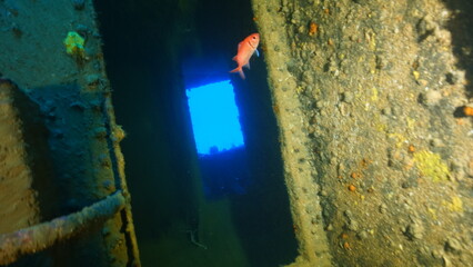 Scuba diving