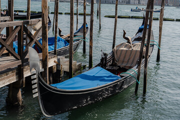 Gondolas. Gondolas parked on the canal without people.