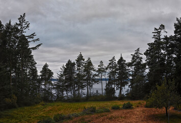 San Juan Islands dusk sunset treeline coast views fro Lopez Island summer 2024, archipelago Washington, United States