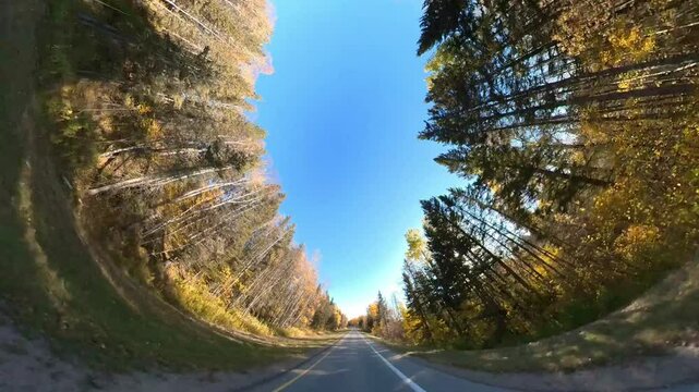 360 degree tunnel view while driving along a paved road through an autumn forest
