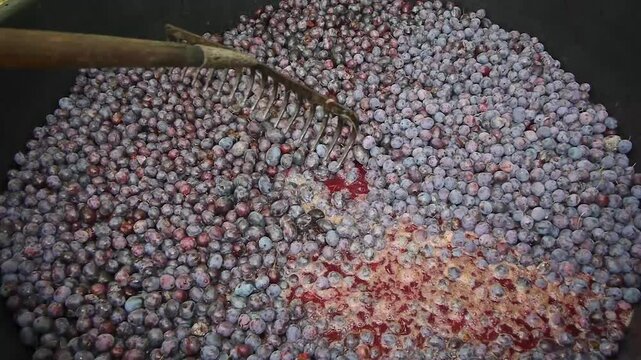 Natural process and sound of plum sugar fermenting into alcohol in a fruit barrel with stirring
