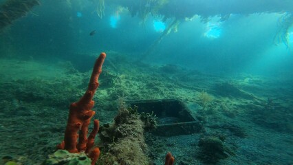 Scuba diving