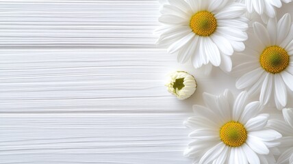 Obraz premium White daisies with yellow centers on wooden background