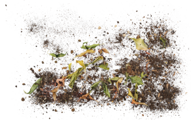 Dirt, soil pile with dry autumn leaves isolated on white background, top view	