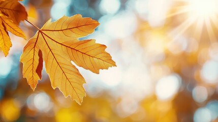 Fototapeta premium Vibrant yellow autumn leaf with a backdrop of golden bokeh hues