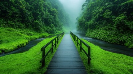 Misty Rainforest Path: A wooden footbridge winds through a lush, misty rainforest, inviting exploration and tranquility.