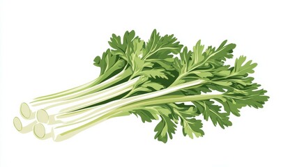 Bunch of green celery with white stems. The celery is cut into pieces. The celery is fresh and ready to be eaten