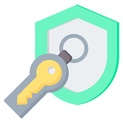 Security Token Flat Icon