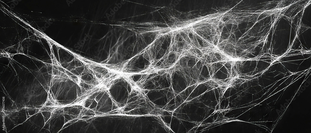 Poster intricate details of a spiderweb showcasing delicate threads and sticky surfaces