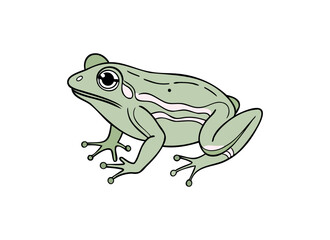 Green Frog Illustration - Cartoon Amphibian Clipart