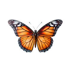 Fototapeta premium Orange and black butterfly with detailed wing patterns isolated on a transparent background. Insect and nature concept. Design for posters, banners, and educational materials