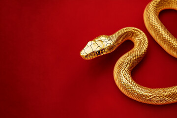 Obraz premium Gold snake on a red background for Chinese New Year concept